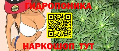 дурь Добрянка